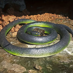 Ultra Realistic Snake Toy Halloween Prank Prop