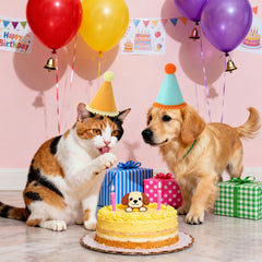 img_5347947
