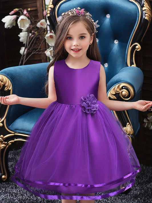 Girls Sleeveless Mesh Princess Dress With Flower Decor