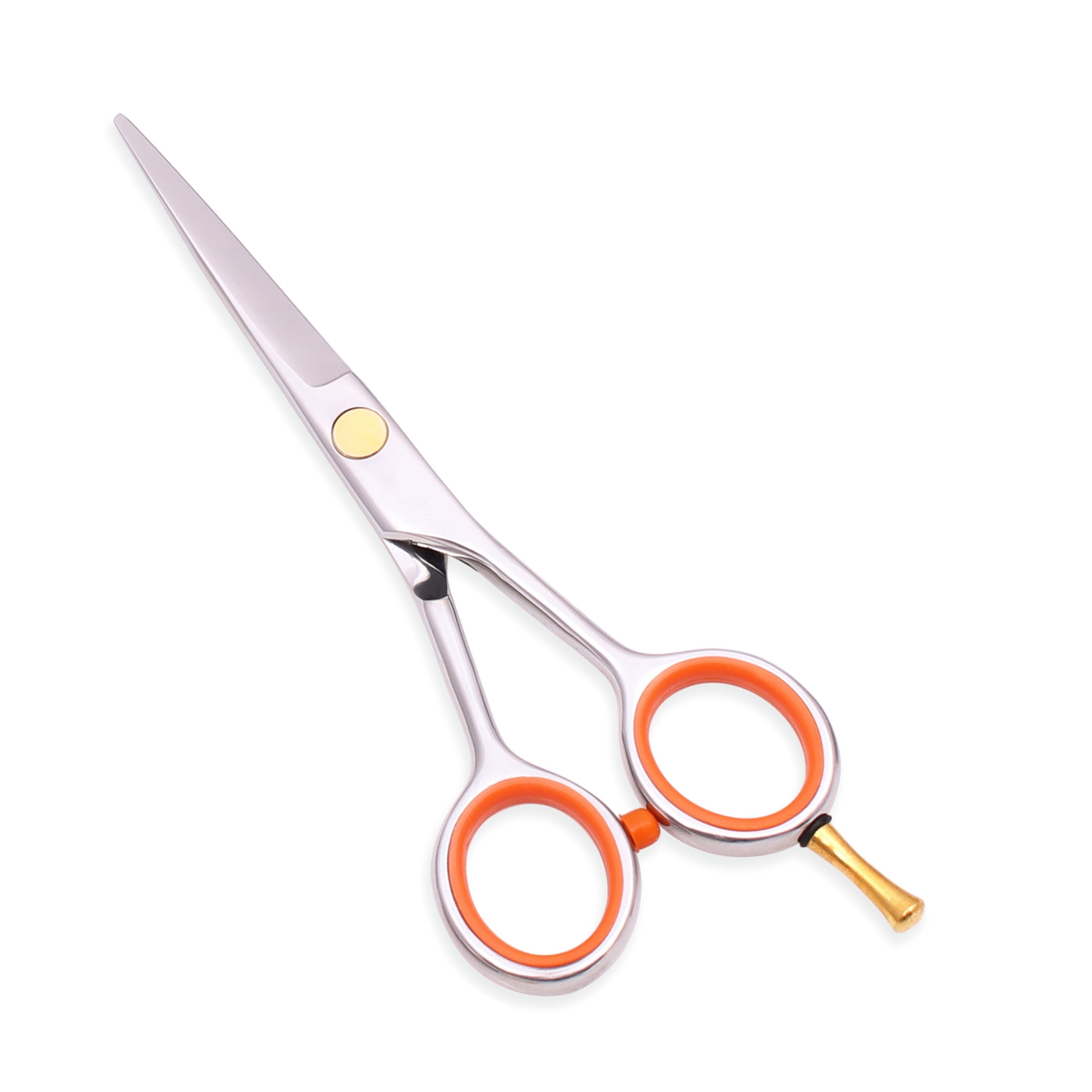img_8635999