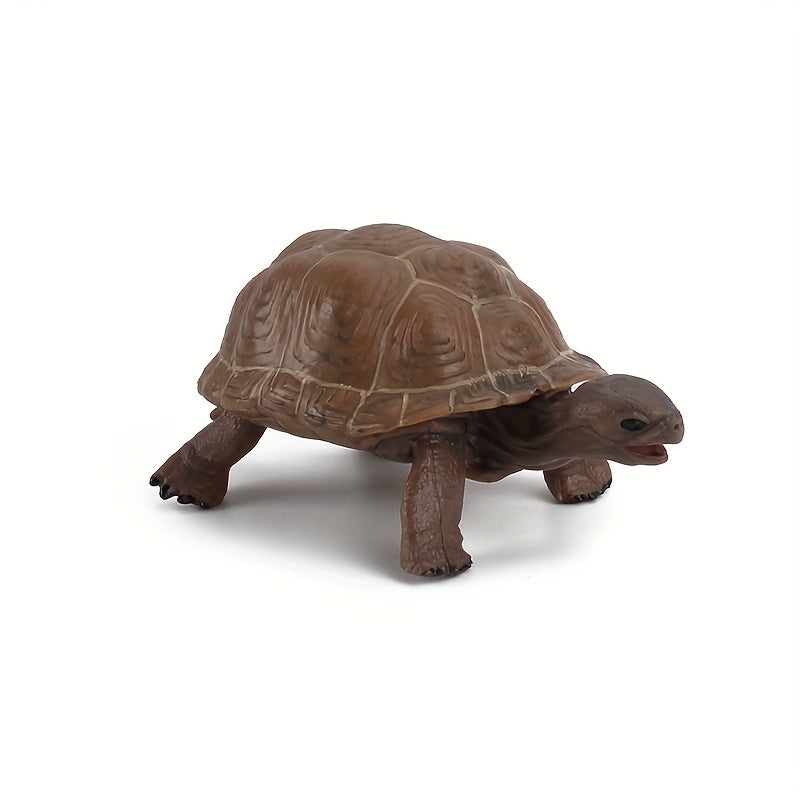 Realistic Turtle Model Toy for Wildlife Learning