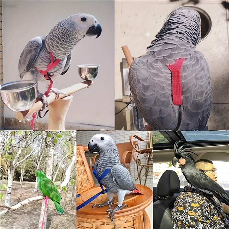 Adjustable Bird Harness & Leash for Parrot Comfort & Security
