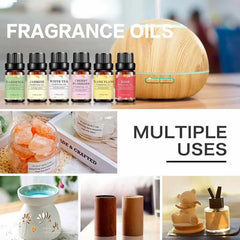 img_1048959