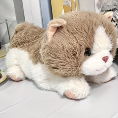 Anime Plush Kitten Doll Soft Cat Toy for Kids
