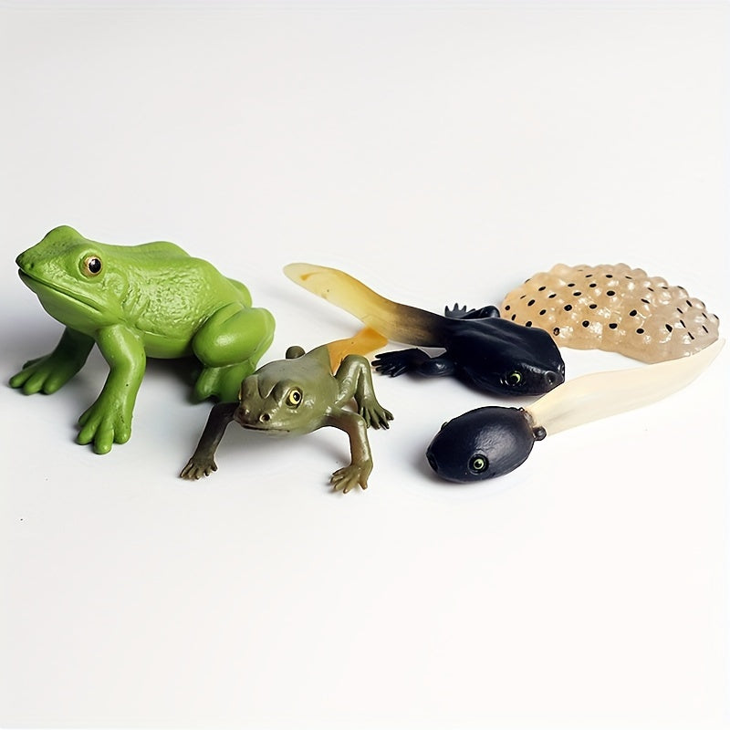 9pcs Life Cycle Figurines Toy Set Butterflies Frogs Educational School Project
