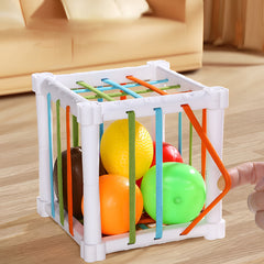 Colorful Fruit Shape Puzzle Toy Enhances Focus & Shape Recognition