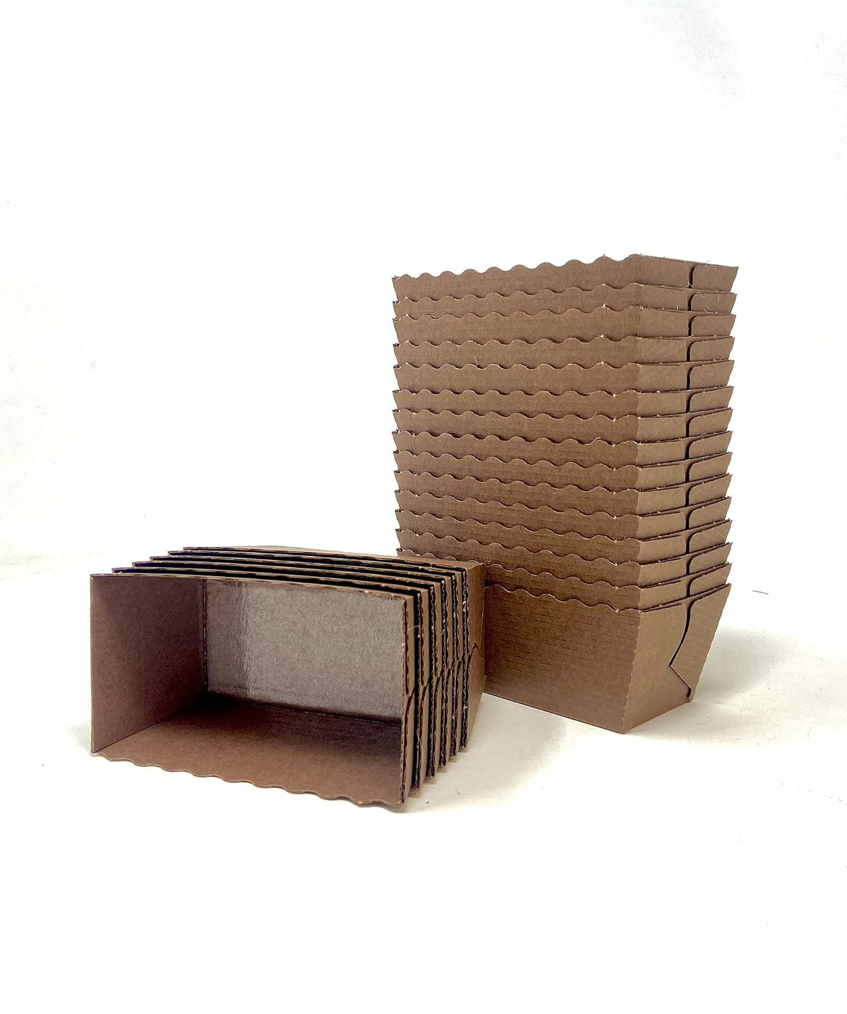 img_20836768