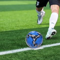 Machine Sewing Football PVC Soccer Ball - Training Competition