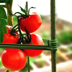 12pcs Plastic Connecting Rod Bracket for Horticultural Products