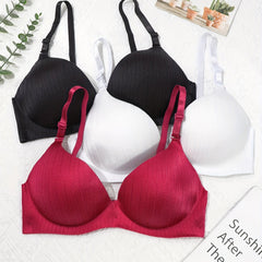 3pcs Stripe Print Glossy Push Up T-shirt Bras Women's Lingerie