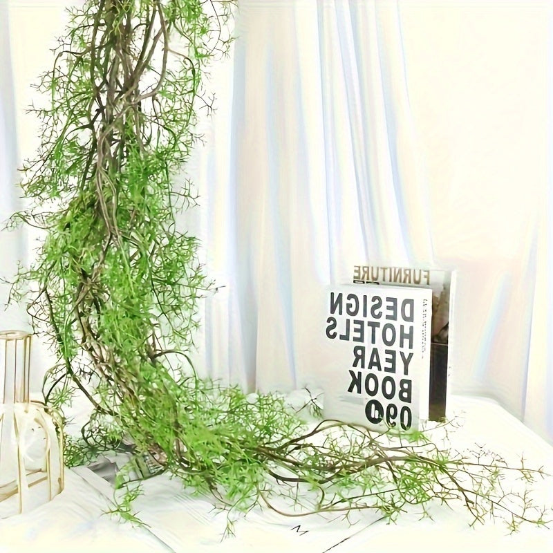 img_5477694