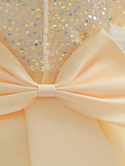 Baby Girls Flower Bowknot Decor Puff Sleeve Mesh Sequin Princess Dress