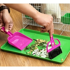 img_5503211