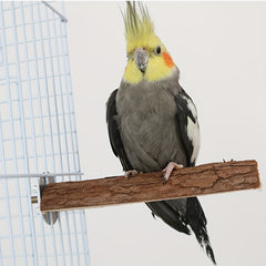 Natural Wood Parrot Perch Station Board for Bird Cage