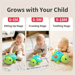 Interactive Turtle Toy with Crawling Movement, Sounds & Lights
