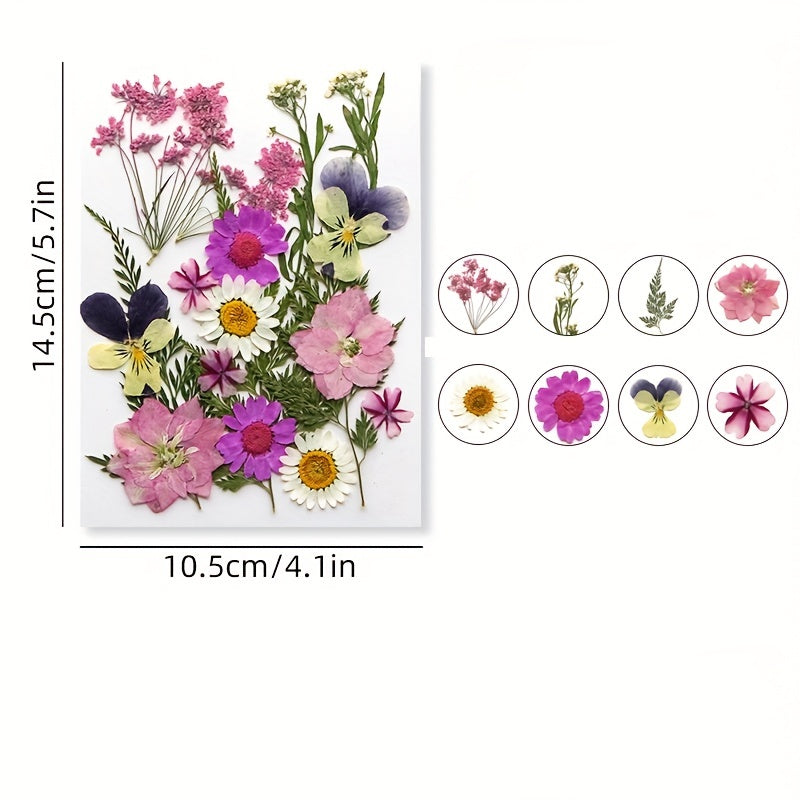 DIY Pressed Flowers Kit - Create Unique Crafts with 19pcs Dried Flowers