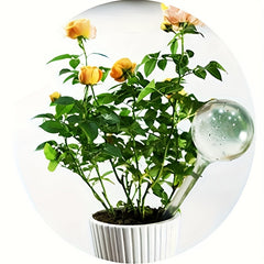 Clear Plant Watering Bulbs Automatic Self Watering Globes 6/10/14pcs