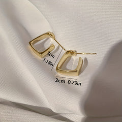 Irregular Geometric Metal Earrings for Women Jewelry Gift
