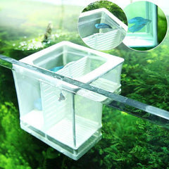 Peacock Fish Incubation Box Aquarium Isolation Net
