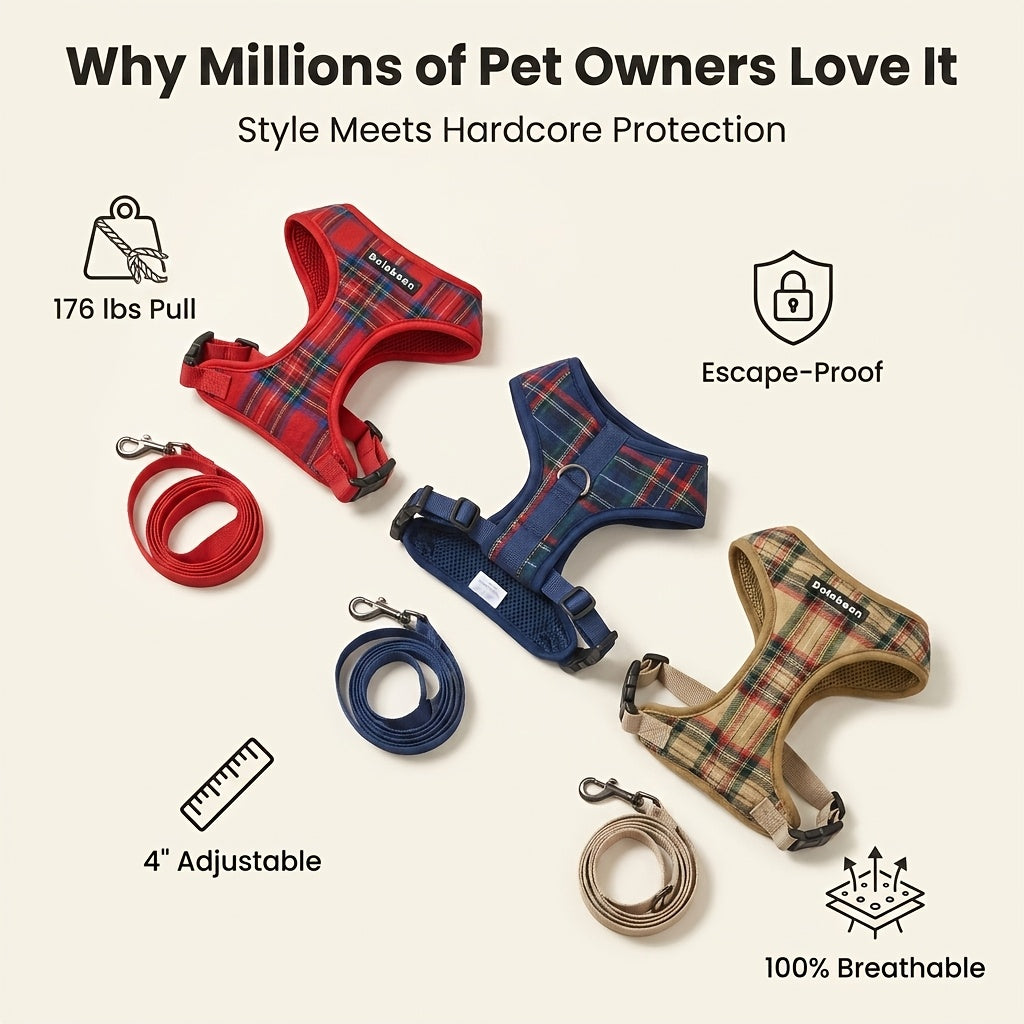 img_4101414