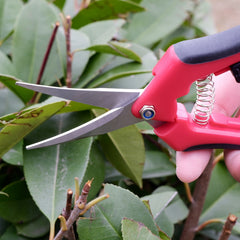 3pcs Pruning Shears Straight Blades Stainless Steel Pruning Scissors