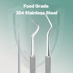 Stainless Steel Toothpick & Floss Set for Home & Travel