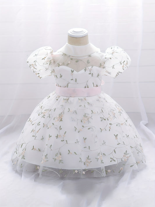 Baby Girl's Floral Embroidery Mesh Princess Dress