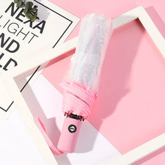 Three Fold Auto Transparent Umbrella