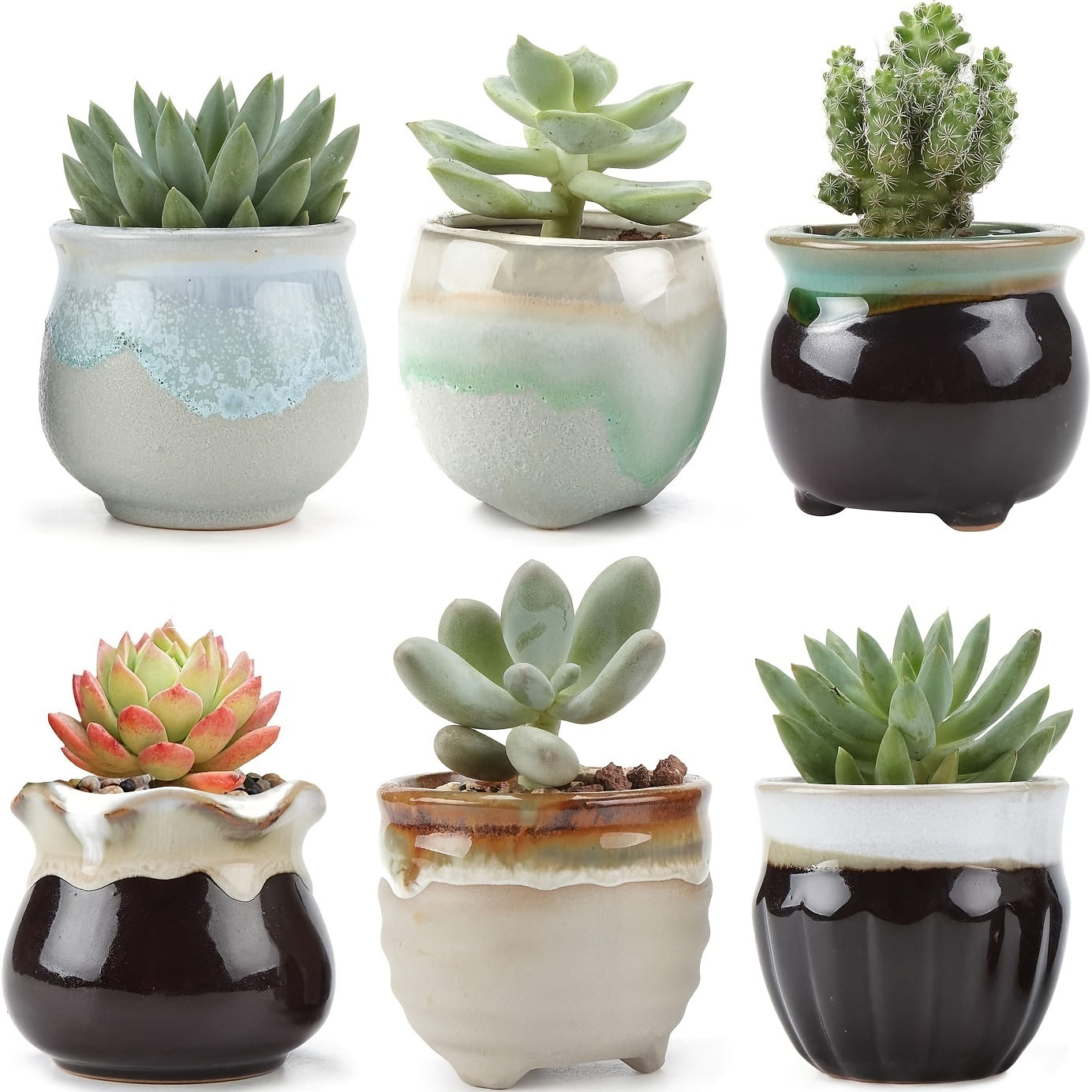 6pcs 2.5 Inch Ceramic Succulent Planter Pot With Drainage