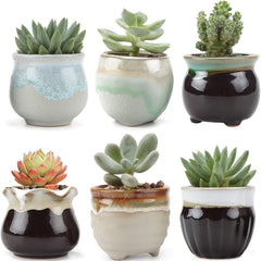 6pcs 2.5 Inch Ceramic Succulent Planter Pot With Drainage