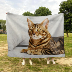 Cat Pattern Soft Plush Blanket All Seasons Flannel Couch Bed Travel Camping