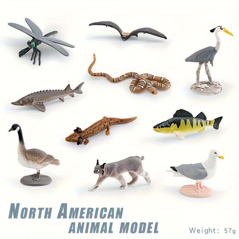 Realistic North American Wildlife Animal Model Set