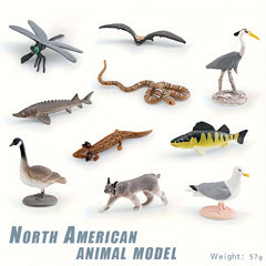 Realistic North American Wildlife Animal Model Set