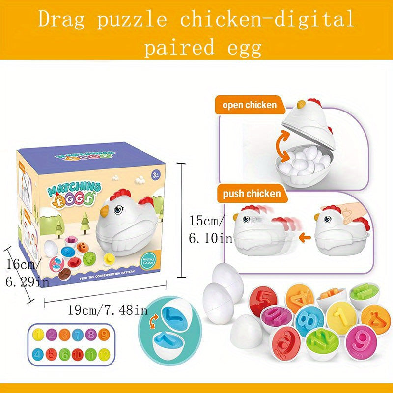 Smart Eggs Early Education Shape Cognition Twisted Eggs