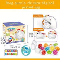 Smart Eggs Early Education Shape Cognition Twisted Eggs