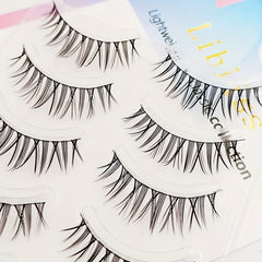 5 Pairs Little Devil Cosplay Faux Mink Lashes Natural Wispy Eyelash Extension
