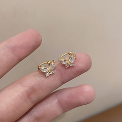 img_5648496