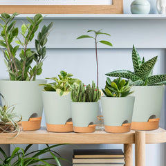 GARDIFE 5pcs Self Watering Planters Plastic Flower Pots - Various Sizes