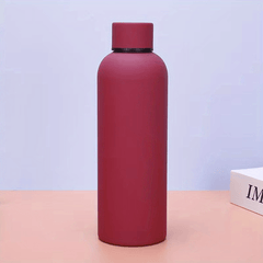 Double Wall Stainless Steel Cup Insulated Water Bottle 16.9oz 500ml