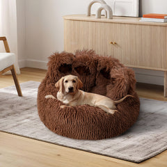 img_7504007