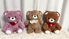Teddy Bear Plush Toy Scarf Bear or Birthday Gift for Boys and Girls