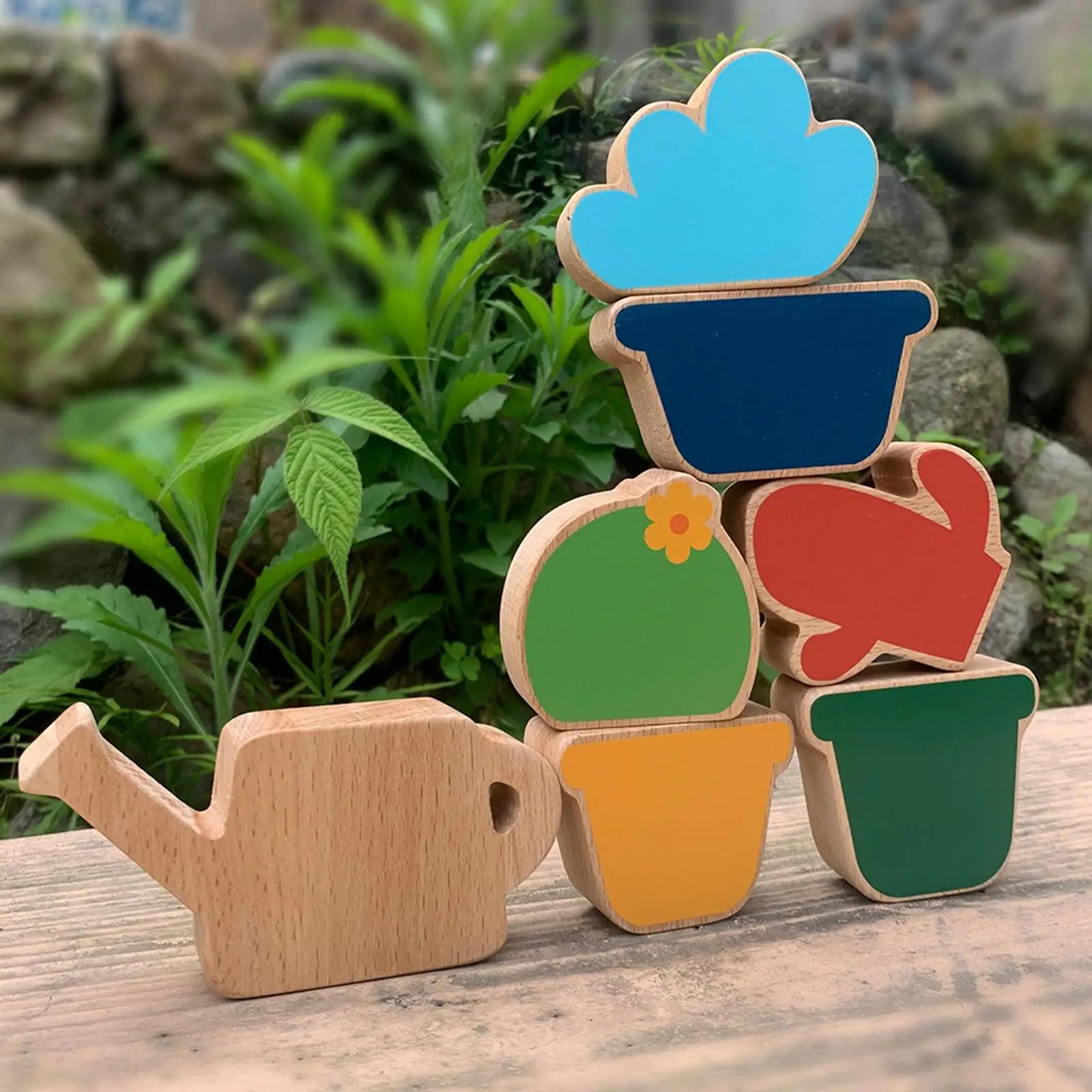 img_2799053