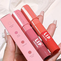 Matte Crayon Lipstick Set 4 Waterproof Velvet Long-lasting Lip Gloss