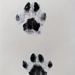 Pet Pawprint Ink Pad For Dogs & Cats - Capture Precious Memories