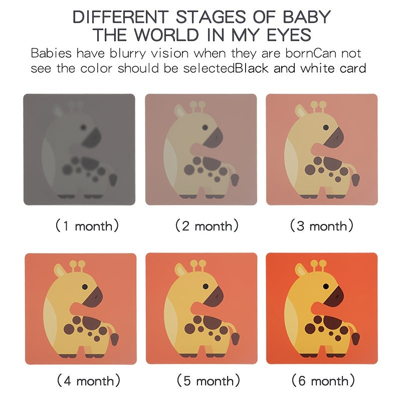 High Contrast Recognition Cards for Baby Brain Development