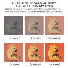 High Contrast Recognition Cards for Baby Brain Development