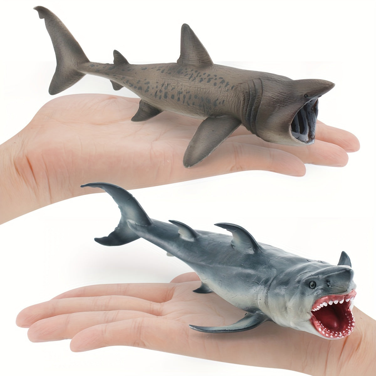 Marine Animal Shark Model - Educational Toy for Kids