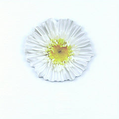 3D Visual Flower Sticky Notes 25 Sheets Pack