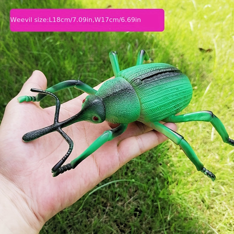 Insect Model Toy for Early Education