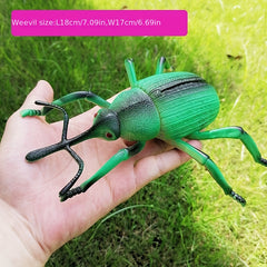 Insect Model Toy for Early Education